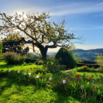 Gite de Saint Félicien vue