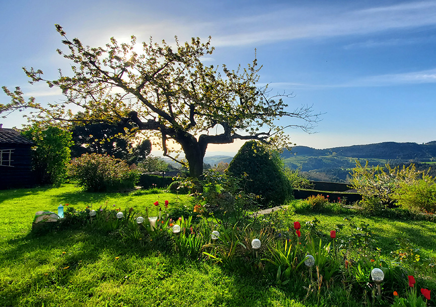 Gite de Saint Félicien vue